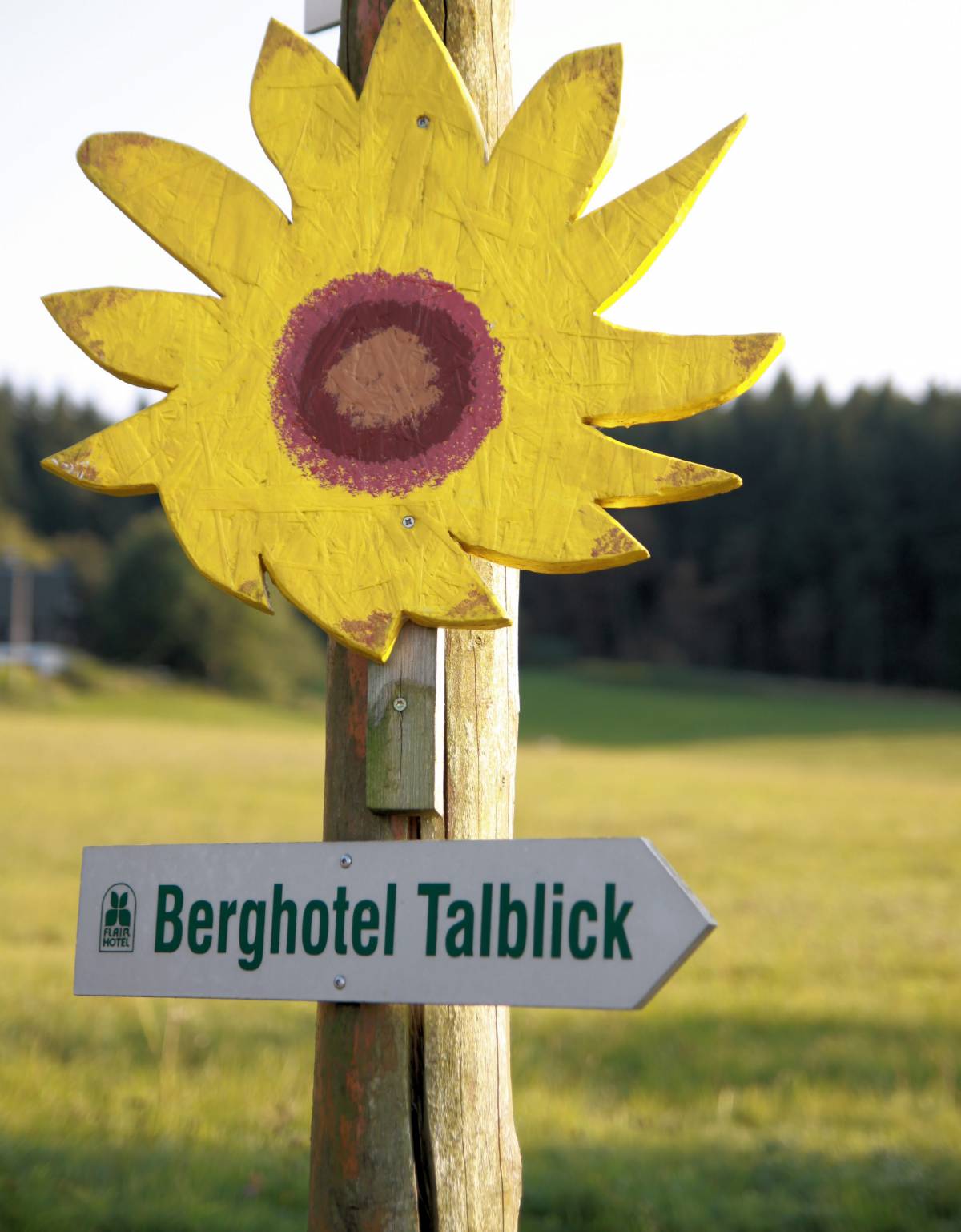 Wegweiser Sonnenblume