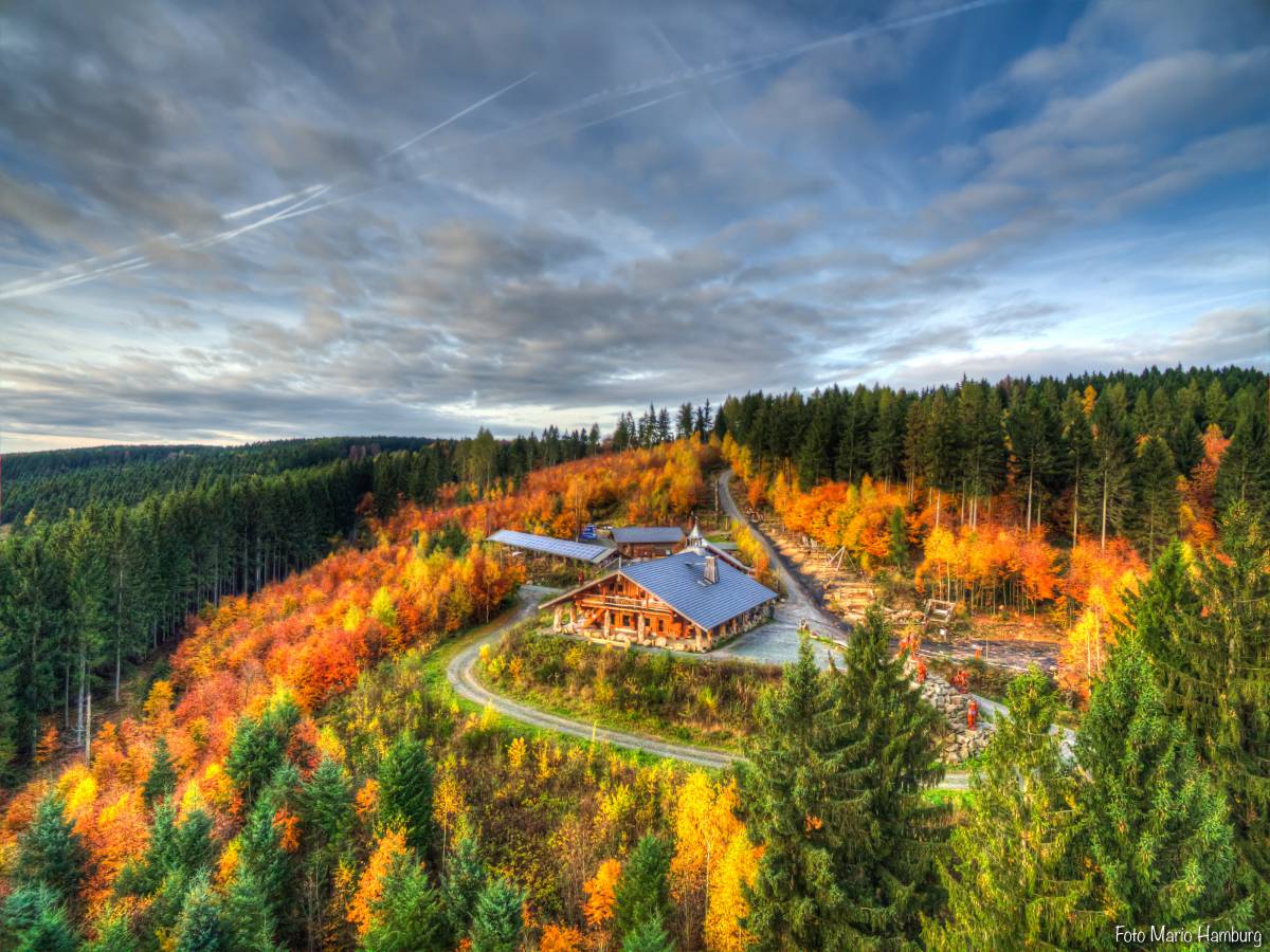 Blockhaus mitten im Wald des Erzgebirges