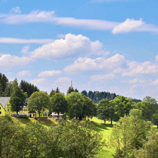 Berghotel Talblick im Sommer mit grünen Wiesen