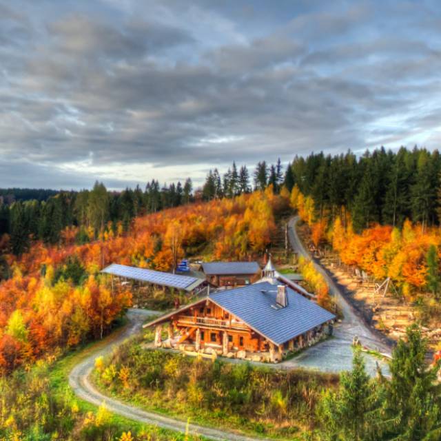 Panoramablick im Herbst über den Wald