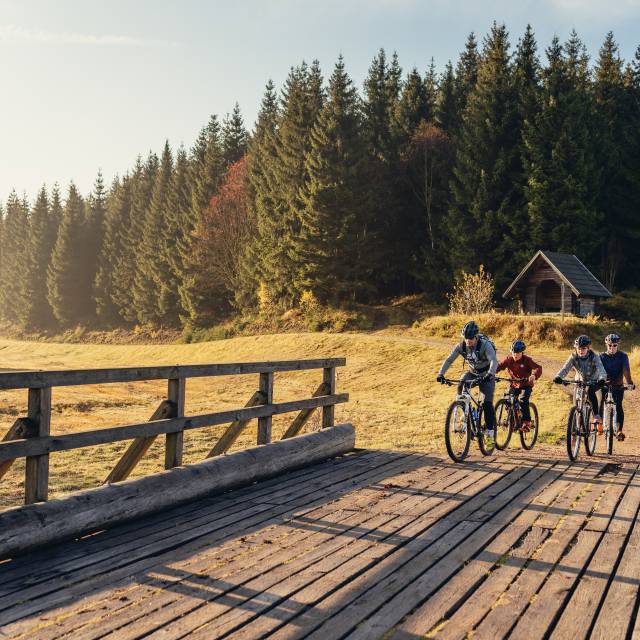 Mountainbiker im Morgen fahren über eine Brücke im Wald