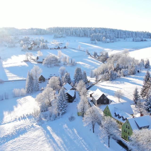 Berghotel Talblick mit Panoramablick auf den Wald