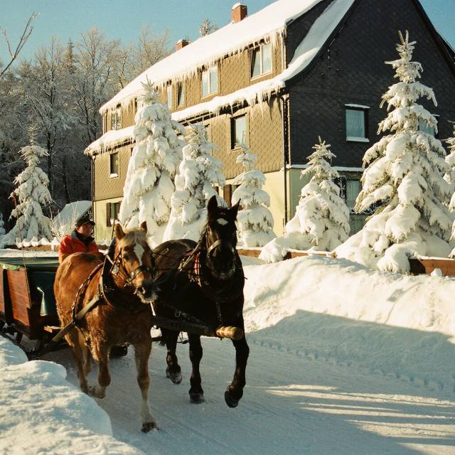 Pferdeschlitten im Winter