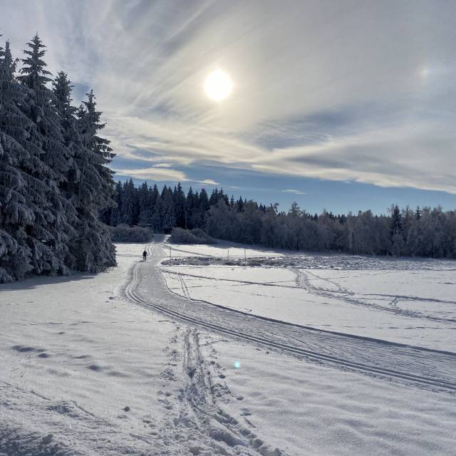 Loipen Oberholzhau im Winter