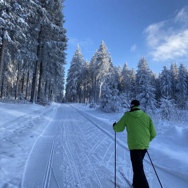 Mann beim Langlauf im Wald