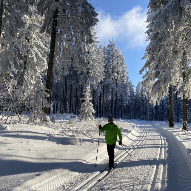 Mann beim Langlauf im Wald