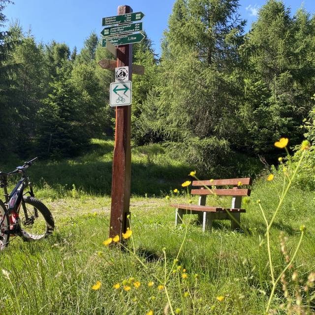 Mountainbike am Grenzweg Holzhau