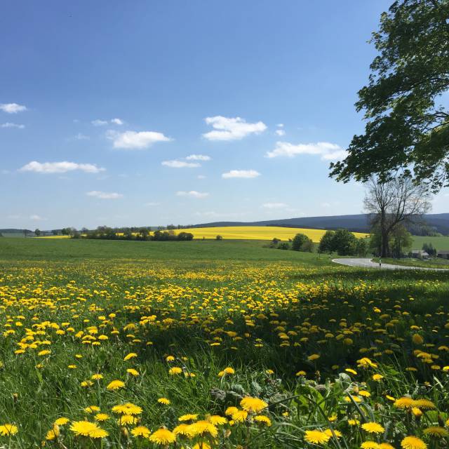 Motorrad - Berghotel Talblick