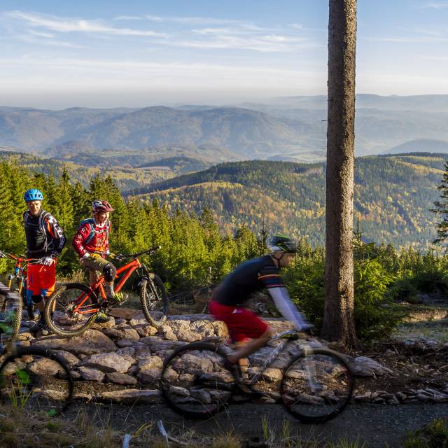 Mountainbiker fahren im Wald mit Blick auf das Erzgebirge