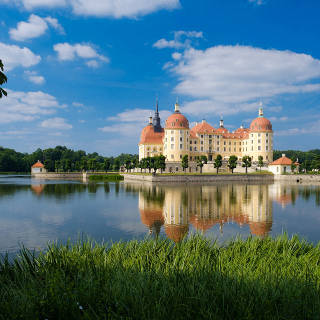 Schloss Moritzburg im Sommer