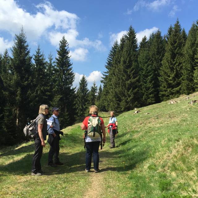 Kammwegwandern - idyllisches Wandergebiet in Holzhau